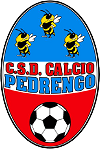 Calcio Pedrengo